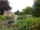 Ogród z hortensjami