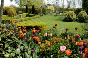 Ideał ogrodu z tulipanami