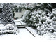 Okrywa śnieżna chroni ogród najlepiej
