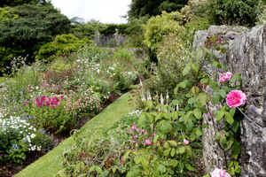 Coleton Fishacre