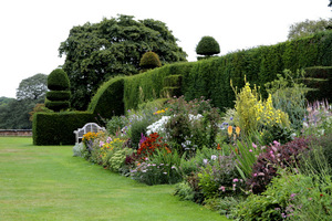 Arley Hall - topiary z cisa