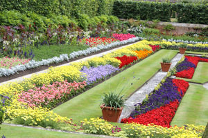 Zdjęcie główne - Hampton Court 