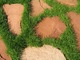 Nieregularne płyty z czerwonego piaskowca poprzerastały trawą. Z koszeniem trawnika nie ma tutaj kłopotu