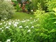 Ogród Lilki - autor Alinak