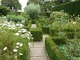 Vita tworząc White garden miała dokładną wizję tego, jak chce by wyglądał jej biały ogród.  
