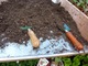 Jeśli kompost jest zbyt suchy, zwilżamy go i odczekujemy chwilę, aby się nie kleił do rąk
