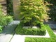 Ogród typu patio, podwójne ramki podkreślają urodę klonu palmowego (Chelsea Flower Show 2010)