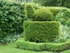 Topiary z cisa