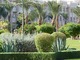 Hotelowy ogród ze strzyżonymi krzewami