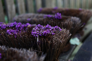 Fioletowe owoce pięknotki (Callicarpa) mogę jedynie pokazać w formie takiej oto ozdoby na szczotce, fot. Michał Młoźniak