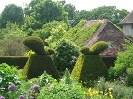 Znak rozpoznawczy Great Dixter - topiary z cisa przedstawiające wiewiórki