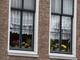 Na parapecie okiennym widać ciekawe dokoracje (podpatrzone w Holandii)
