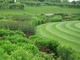 Tereny wokół szklarni okala ogromny staw, piękne rabaty bylinowe oraz trawnik- doskonale pielęgnowany