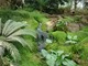 Trzy strefy klimatyczne w Casa Verde zapewniają szeroki wybór roślin