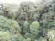 Wielką atrakcją przyrodniczą Kostaryki są lasy deszczowe, pokryte grubym dywanem mgieł i chmur. Panuje tam wyjątkowo wilgotny mikroklimat, fot. Joanna Tworek