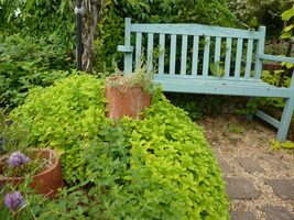 Odpoczynek w pachnącym ogrodzie ziołowym
