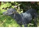 "Druciany" pies - stylowy detal do ogrodu