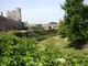 Zwiedzając zamek możemy zobaczyć ciekawe założenia ogrodowe przy fosie, wypełnione masą kwitnących roślin