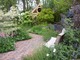 Takie przyjemne miejsce do siedzenia i podziwiania roślin powinno się znaleźć w każdym ogródku