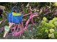 Bardzo urokliwie wyglądała aranżacja z różowym rowerem wykonana przez Szkółkę Krzewów Ozdobnych "Pawlak"