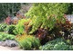 Rabaty Merton - rosną na nich zarówno drzewa, odpowiednio przycięte, jak i krzewy, byliny, rośliny cebulowe, jednoroczne, dwuletnie i trawy