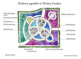 Plan ogródka ziołowego