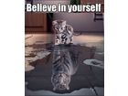 Believe in yourself cat siberian tiger
